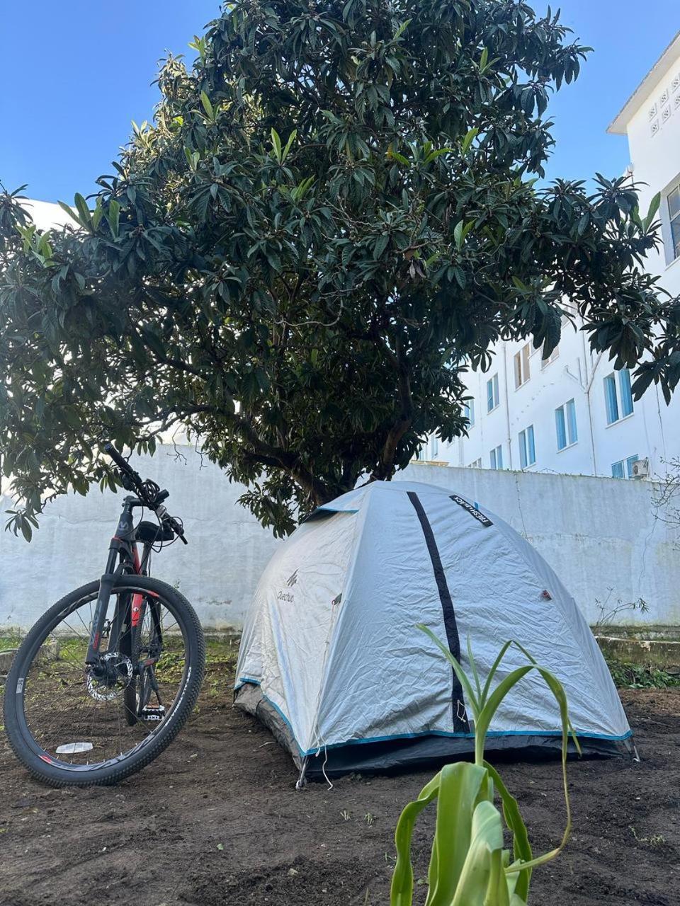بيت شباب Nomads Tunisia تونس